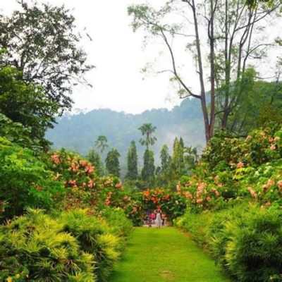  Der Penang Botanical Garden: Eine grüne Oase voller Exotik!